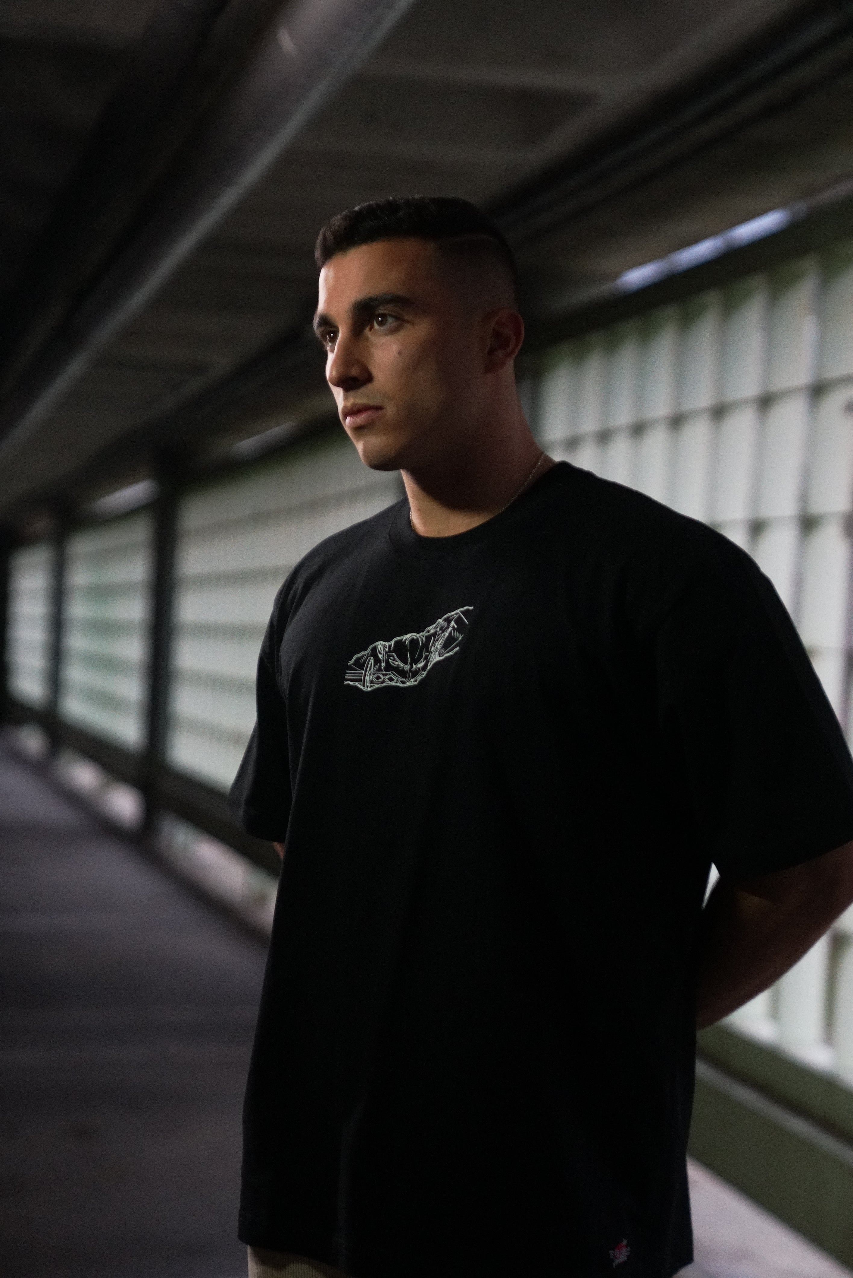 Camiseta Oversize de Zoro